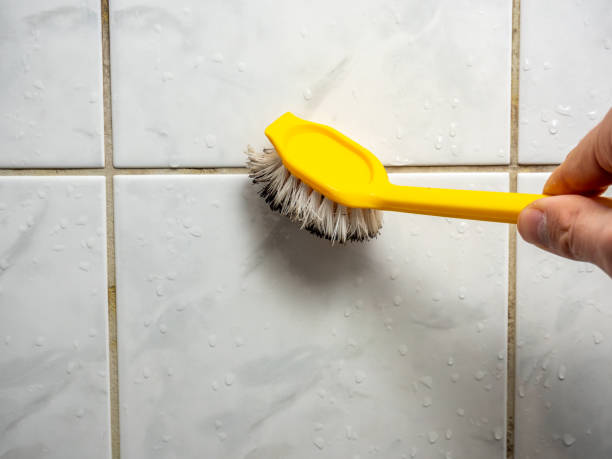 Best Home Mold Removal  in Cooperstown, NY