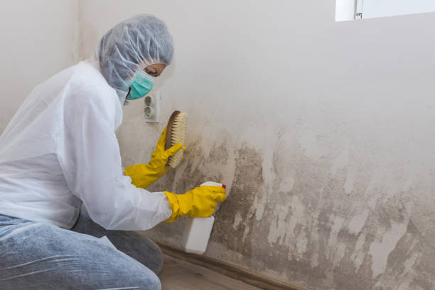 Best Fast Mold Removal  in Cooperstown, NY
