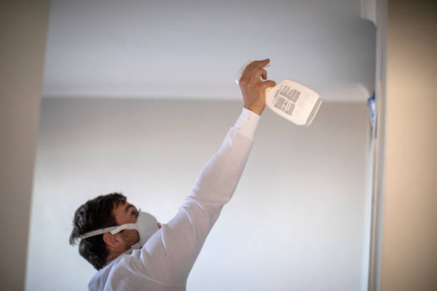 Mold Removal and Inspection in Cooperstown, NY