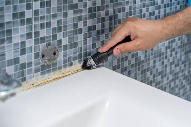Best Mold Removal Company Near Me  in Cooperstown, NY